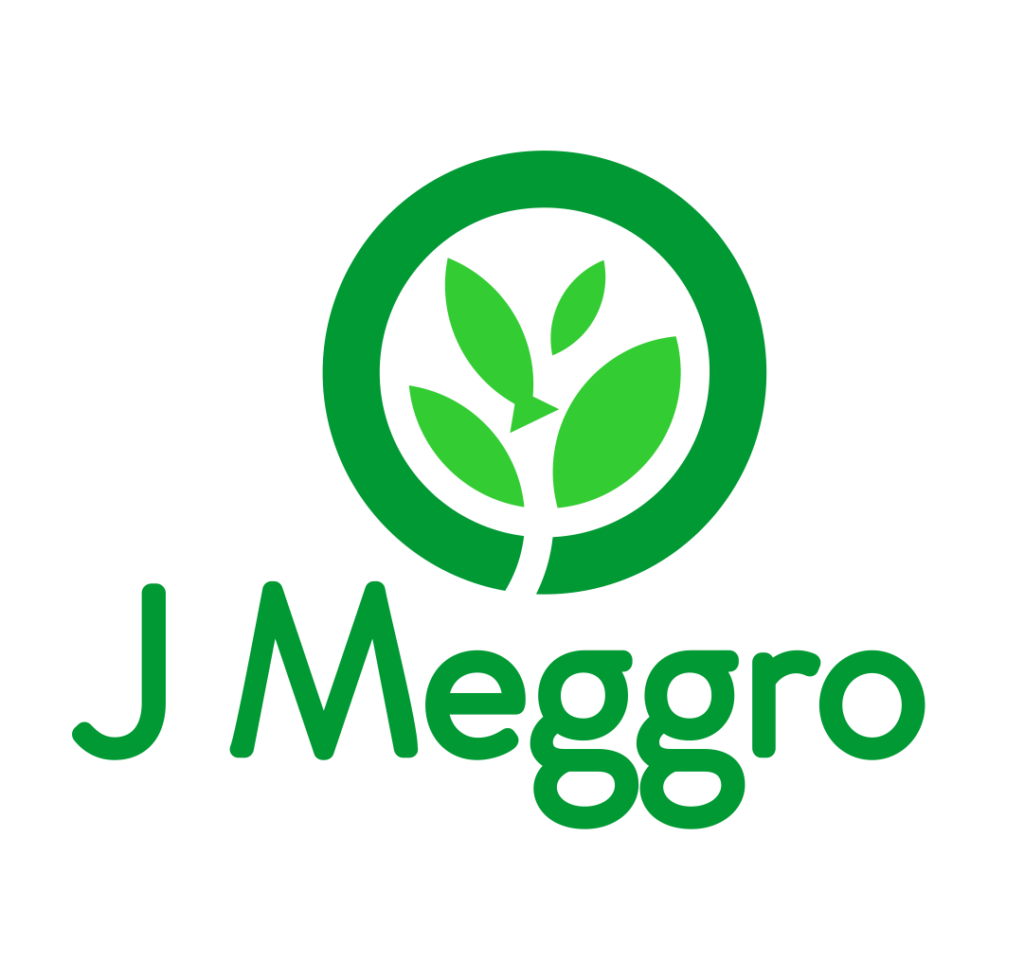 JMeggro LLC logo